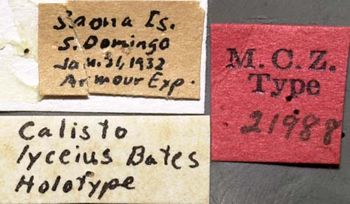 Media type: image;   Entomology 21988 Aspect: labels